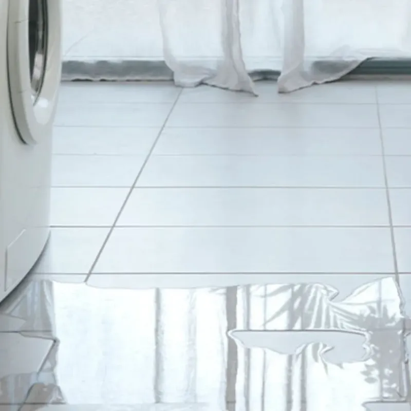 Appliance Leak Cleanup in Rigby, ID