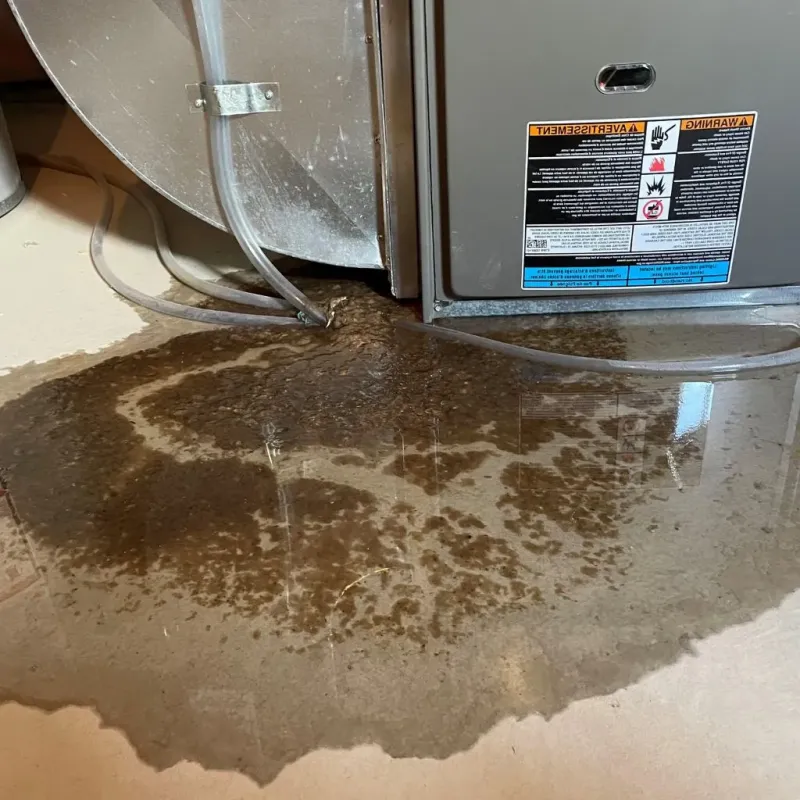 Pipe Burst and Leak Restoration in Rigby, ID